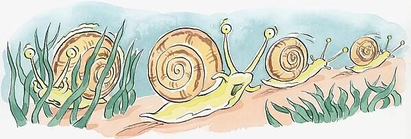 Cartoon of row of underwater sea snails with mouths open and alert eyes on top of tentacles