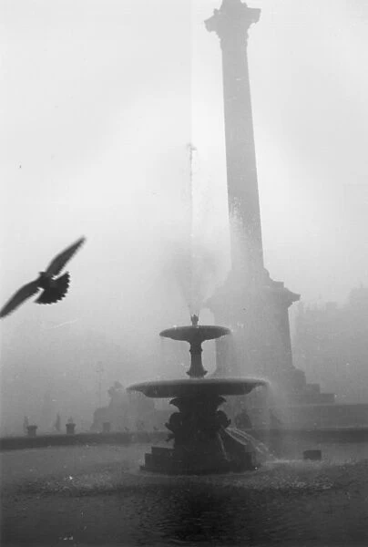 City Fog. 21st January 1939: A pigeon flies over a fountain in Trafalgar