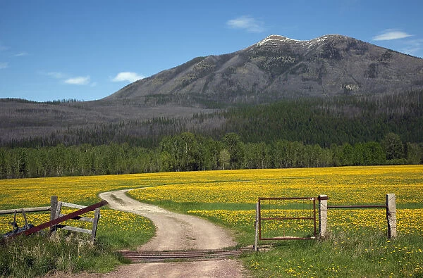 Country Roads, Farm in front of Mountain Near Glacier National Park, Montana, USA