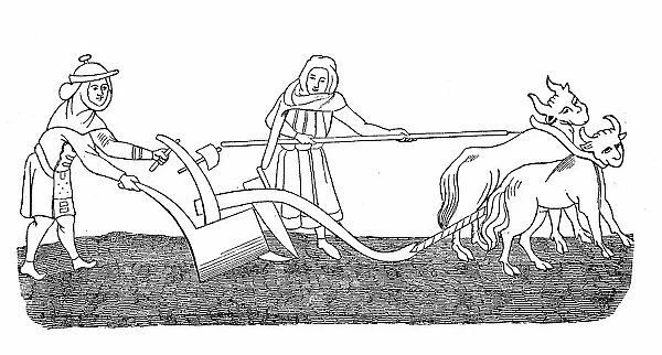 Cultivated state in the 12th century, field work ploughing with an ox team, agriculture, after a picture in the manuscript of the Hortus deliciarum of Herrad of Landsberg, Germany, Historic
