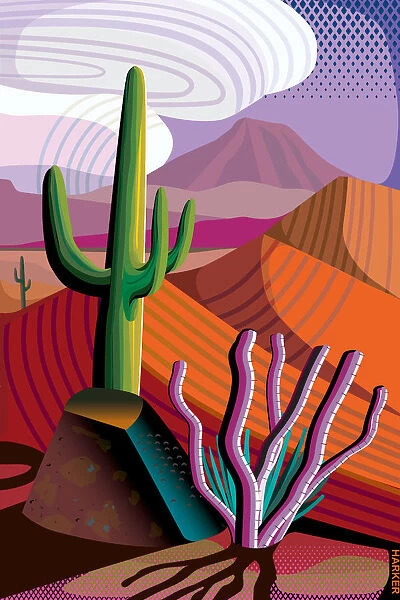 Desert, Saguaro and Ocotillo Cactus, Mountains in distance Landscape Illustration