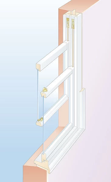 Digital cross section illustration showing inner and outer sash, sill, pulley stile, architrave, sash cord, glass, parting and staff beads of sash window