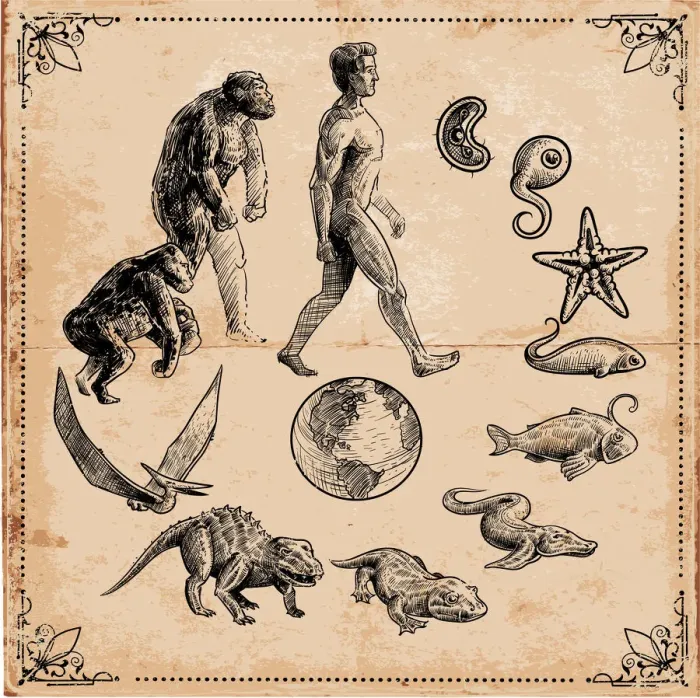 Framed Print : Evolution of Life on Earth Print: A Scientific Illustration Framed Print : Evolution of Life on Earth Print: A Scientific Illustration