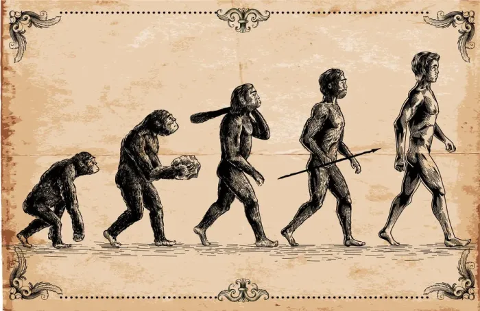 Framed Print : Human Evolution Concept Print - Vector Illustration Framed Print : Human Evolution Concept Print - Vector Illustration