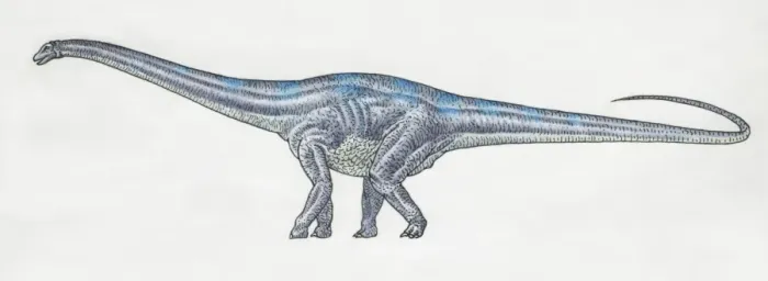 Framed Print : Diplodocus Side View Print Framed Print : Diplodocus Side View Print