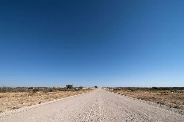 District road in south central Namibia. Stampriet District, Namibia