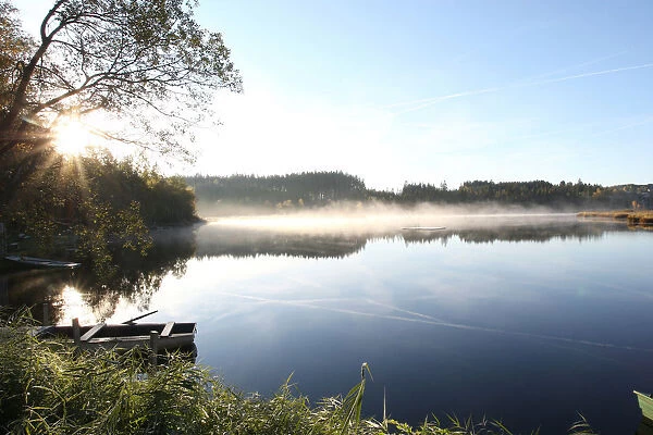 Early morning on a pond in a marshland, Notzenweiher pond, Oberallgaeu, Allgaeu, Bavaria, Germany, Europe