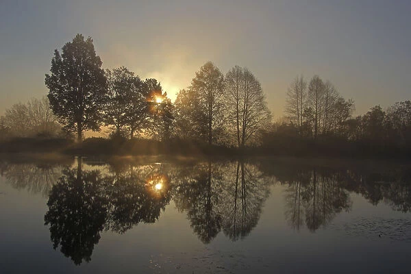 Early morning, sunrise, pond area, trees, November morning, Mittelberg district, Biberach, Upper Swabia, Baden-Wuerttemberg, Germany, Europe