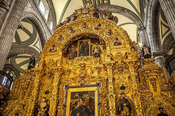 El seAnor del veneno (Our Lord of the Poison) Metropolitan Cathedral