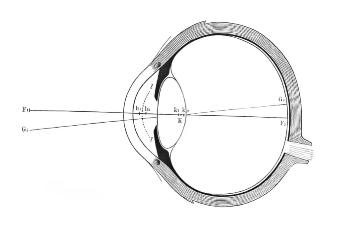 Framed Print : Eye Print, Schematic Representation Framed Print : Eye Print, Schematic Representation