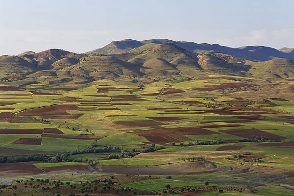 Field landscape in Gercus, Batman Province, Tur Abdin, Southeastern Anatolia Region, Anatolia, Turkey
