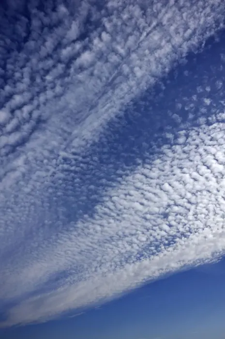 Framed Print : Cirrocumulus Clouds Print, Bentin, Germany Framed Print : Cirrocumulus Clouds Print, Bentin, Germany