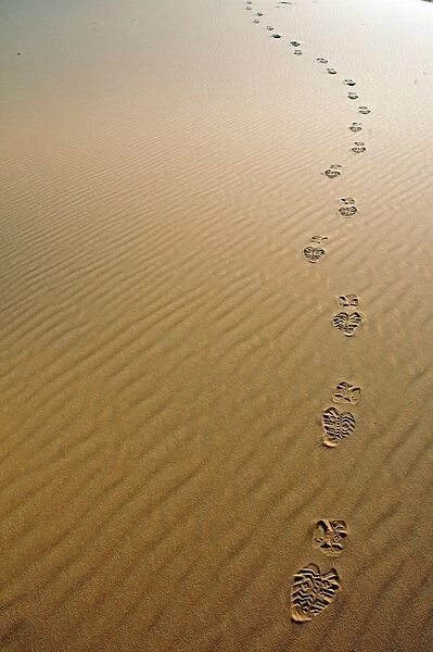Footprints in the desert sand, sand dune of Erg Chebbi, Morocco, Africa