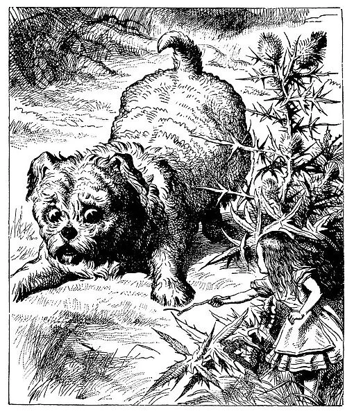 Giant dog illustration, (Alices Adventures in Wonderland)