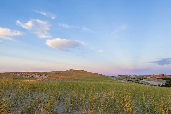 Grass on dunes at sunset, Provincetown, Cape Cod National Seashore, Massachusetts, USA