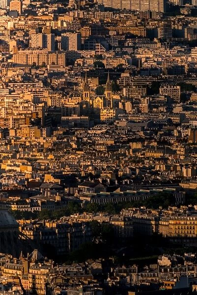 High density of Paris