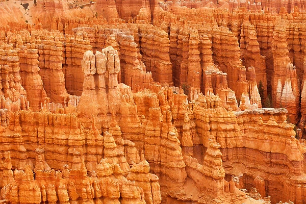 Hoodoo formations, Bryce Canyon National Park, Utah