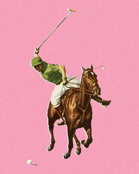 Horseback Man Playing Polo
