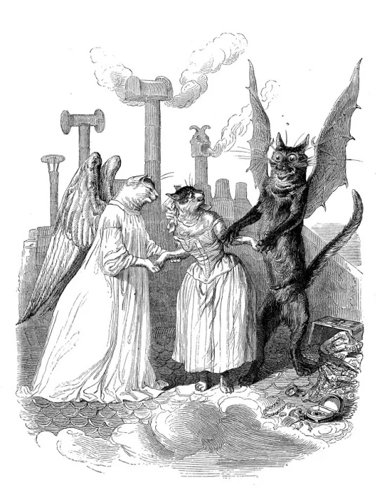 Framed Print : Angel and Devil Cat Print Framed Print : Angel and Devil Cat Print