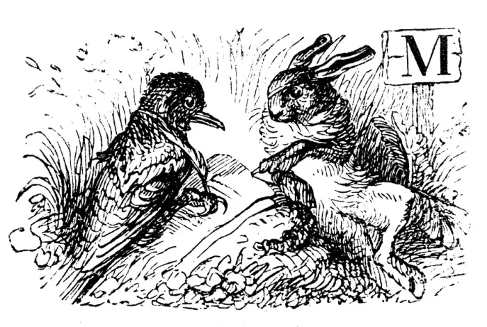Framed Print : Humanized Bird and Hare Print Artwork Framed Print : Humanized Bird and Hare Print Artwork