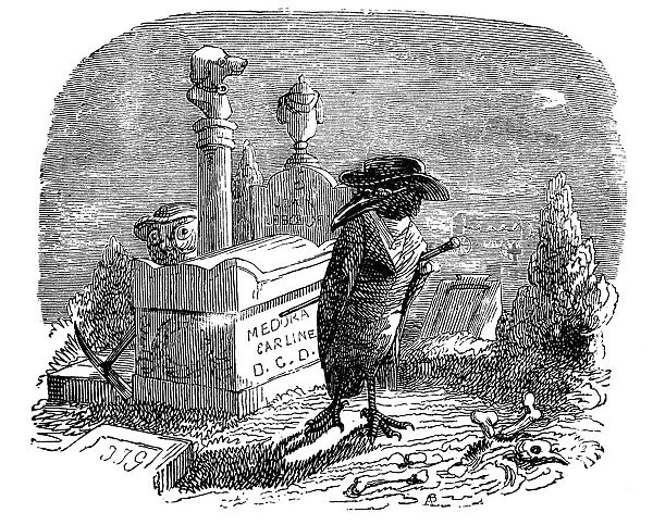 Humanized animals illustrations: Crow in cemetery