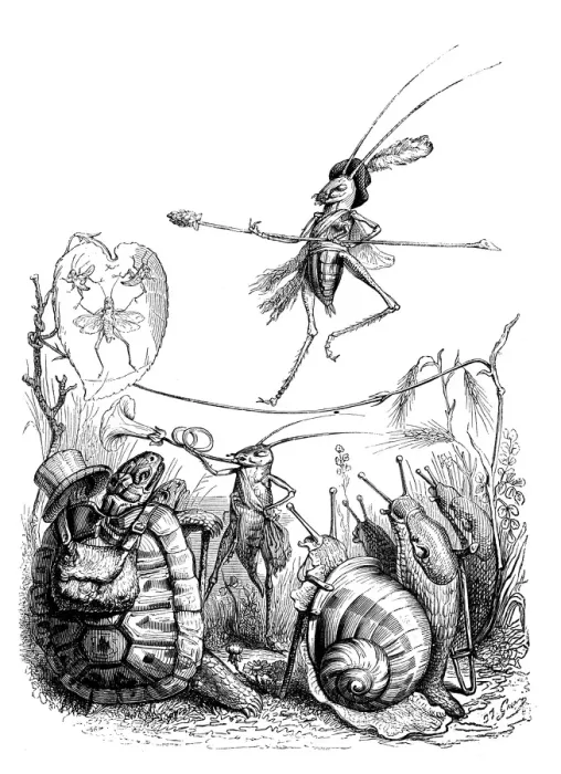 Framed Print : Insect Circus Print: Humanized Animal Illustrations Framed Print : Insect Circus Print: Humanized Animal Illustrations