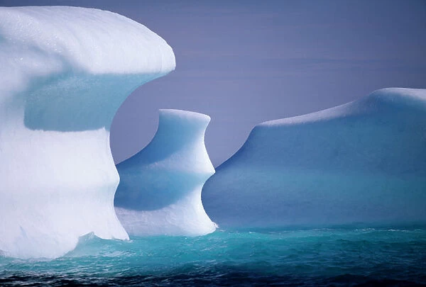 Icebergs are floating South in Labrador current, Northern Labrador