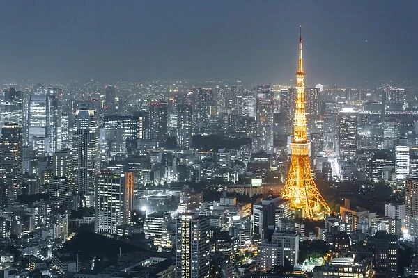 Illuminated Tokyo Tower at night, Tokyo, Japan