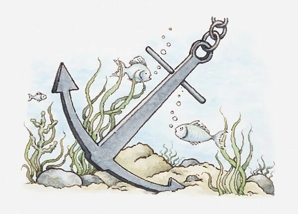 Illustration of anchor on seabed and fish swimming nearby