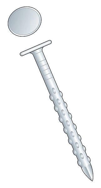 Illustration of drywall nail with round head