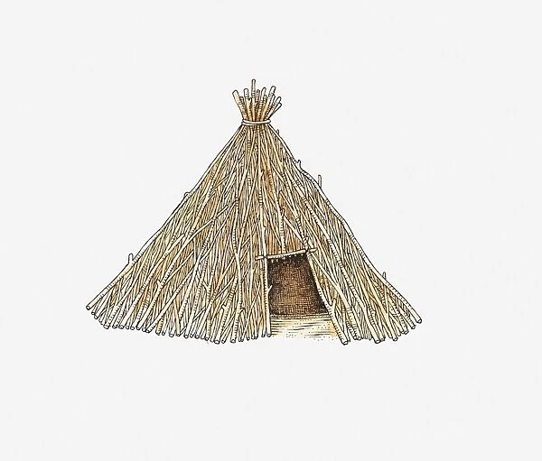 Illustration of hut made from sticks, Kalahari region, southern Africa