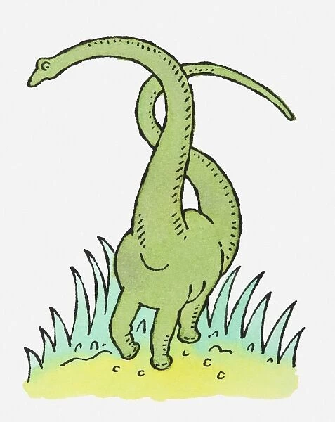 Illustration of large green dinosaur with long neck and tail