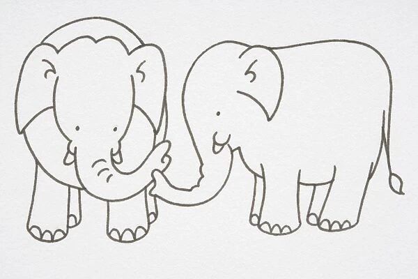 Illustration, pair of Elephants, trunks touching, side view