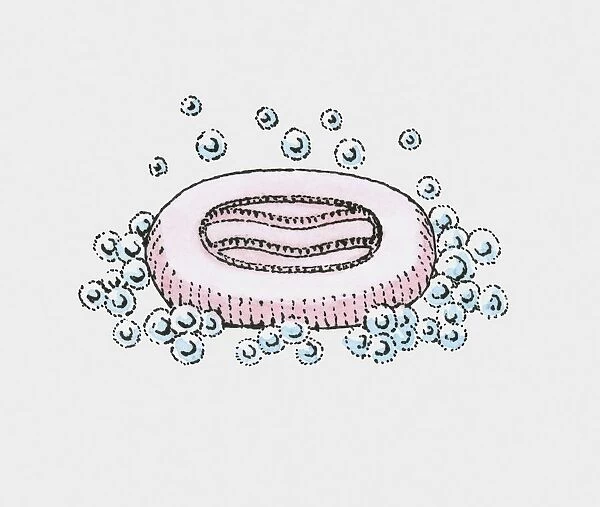 Illustration of soap and bubbles