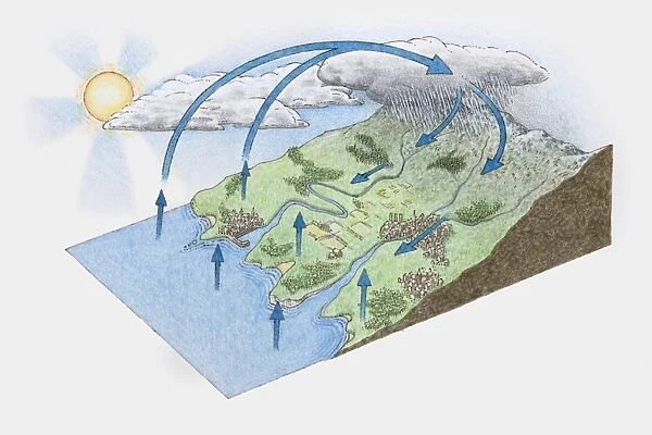 Illustration of water cycle from mountain to ocean