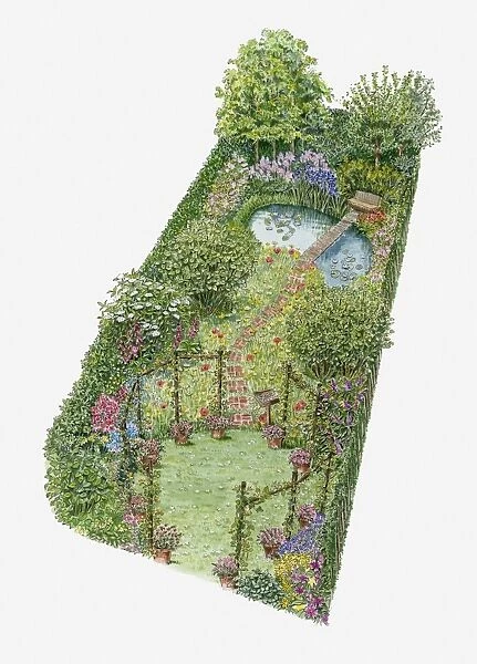 Illustration of wildflower garden, with trees and shrubs and a pond