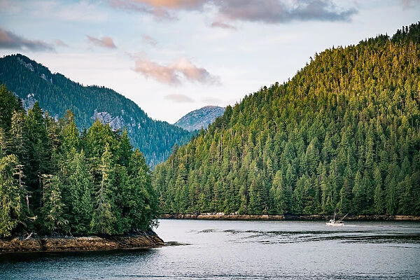 Inside Passage fjords and forest, British Columbia, Canada