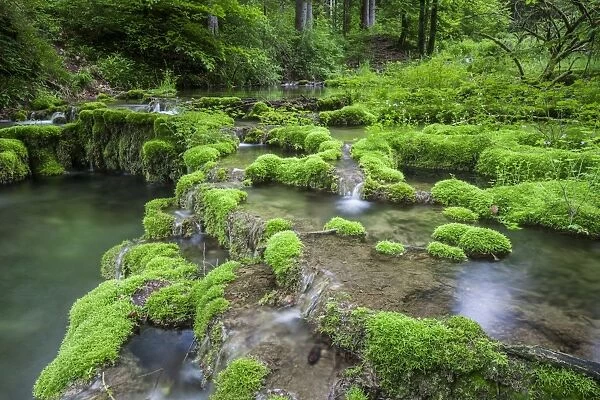 Kaisinger Brunnenbach, stream, Greding, Bavaria, Germany