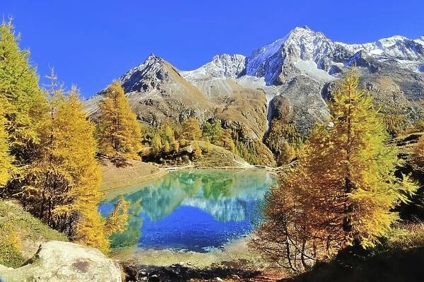 Lac Bleu with autumnal larch trees in Val d Arolla, Mt Dents de Veisivi at the back, Canton of Valais, Switzerland