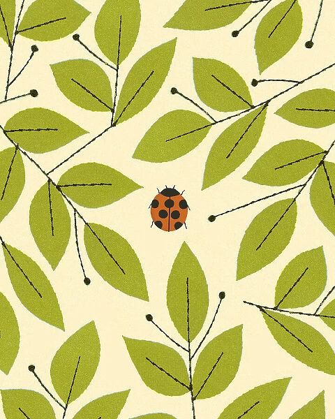 Ladybug and Leaves