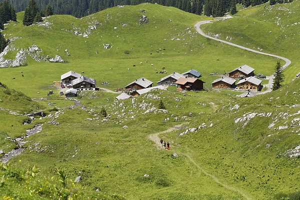 Laguz Alps, Grosses Walsertal Biosphere Reserve, Vorarlberg, Austria