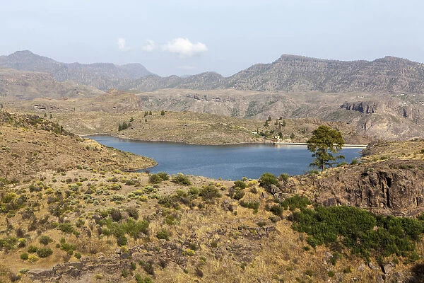 Lake El Juncal, a small reservoir in the Pinar de Pajonales National Park, Roque Bentaiga, Gran Canaria, Canary Islands, Spain, Europe, PublicGround