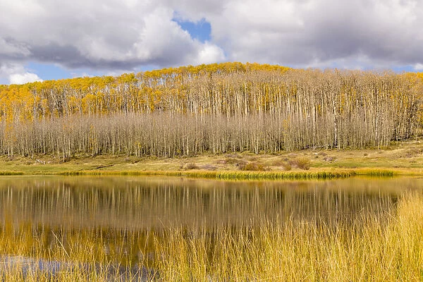 Landscape with lake in Dixie National Forest, Utah, USA