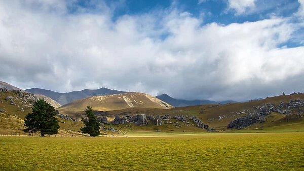 Landscape scene of Castle hill, South Island, New Zealand