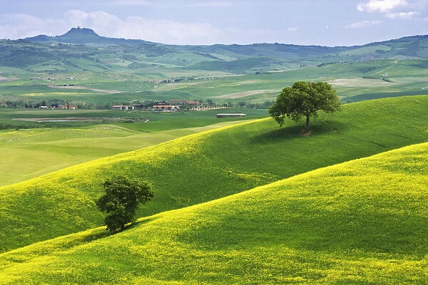 Landscape with villas, Tuscany, Italy