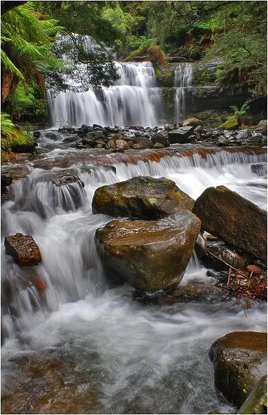 Liffey Falls, a beautiful and scenic area in northern Tasmania, which is protected rainforest and part of the world heritage forests
