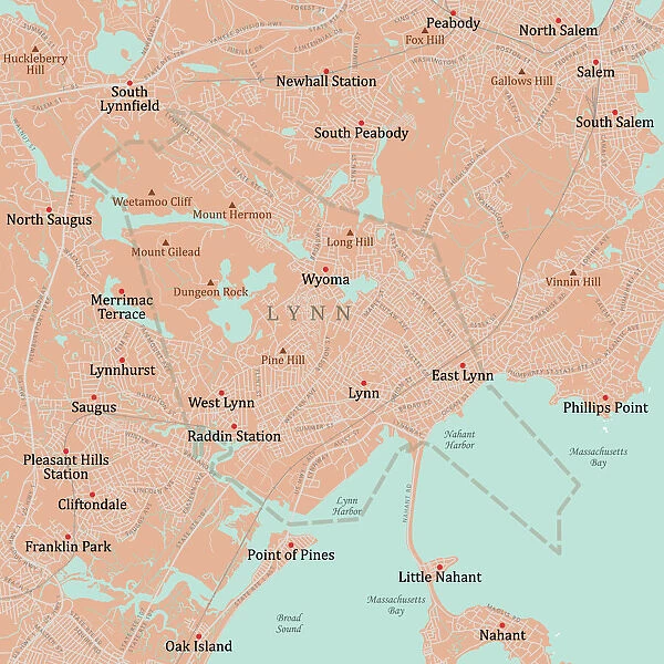 MA Essex Lynn Vector Road Map