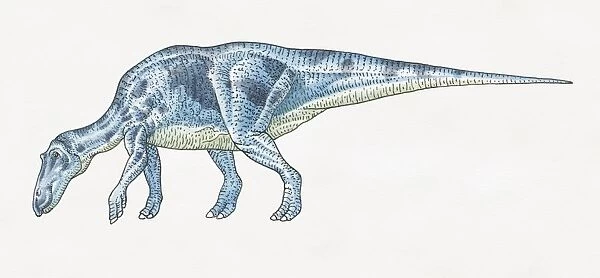Maiasaura, side view