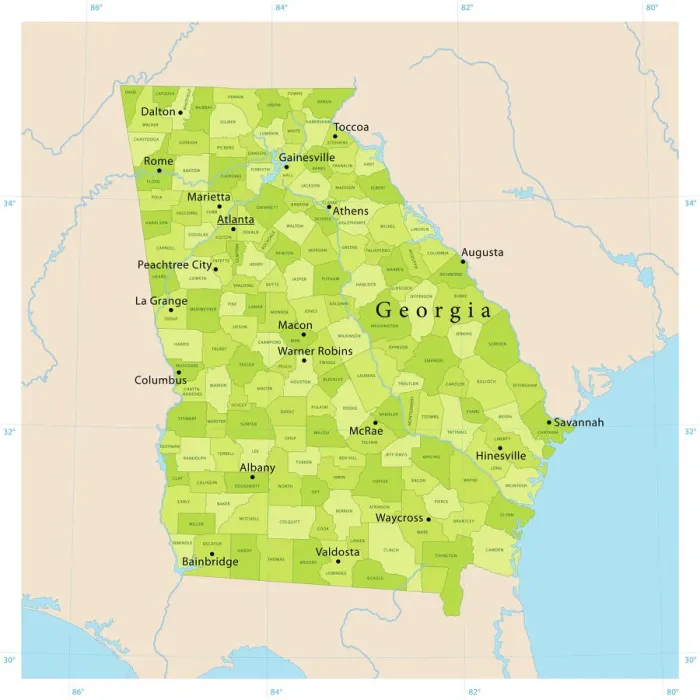 Framed Print : Highly Detailed Georgia State Vector Map Print Framed Print : Highly Detailed Georgia State Vector Map Print