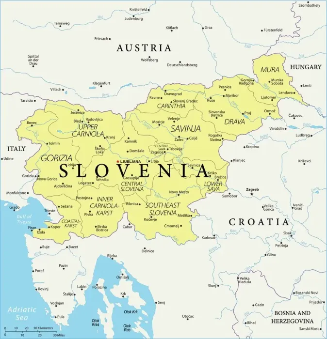 Framed Print : Vector Map of Slovenia Print - Reference Maps